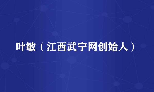 叶敏（江西武宁网创始人）