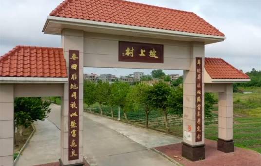 坡上村（广东省吴川市黄坡镇坡上村）