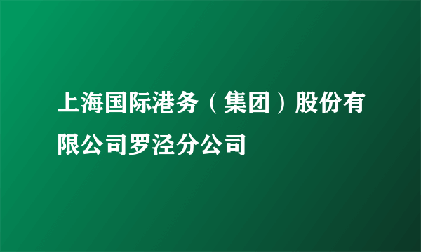 上海国际港务（集团）股份有限公司罗泾分公司