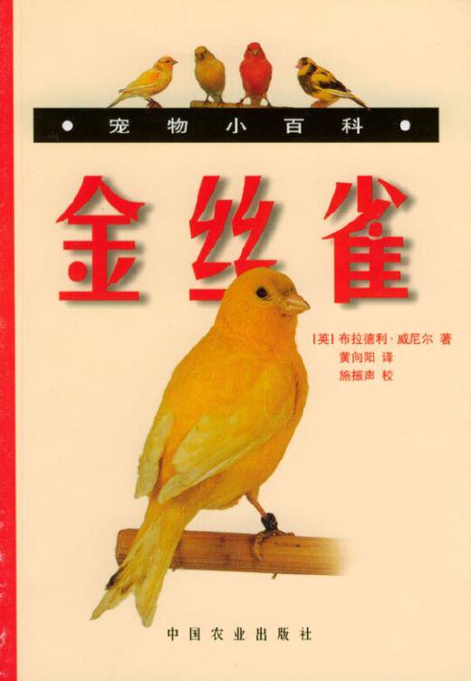 宠物小百科金丝雀