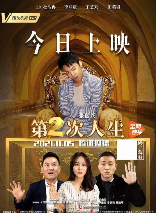 第二次人生（2021年张嘉兴执导的网络电影）