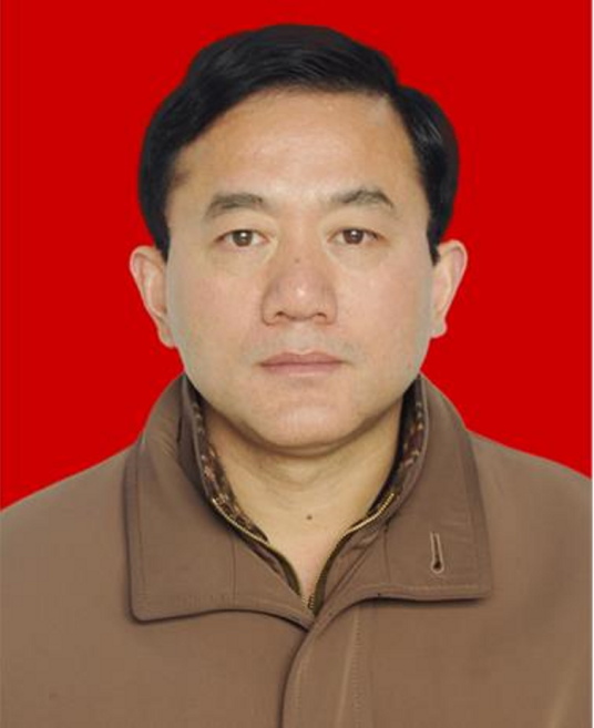 蔡武（湖北省恩施州自然资源和规划局四级调研员）