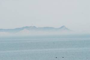 海滋