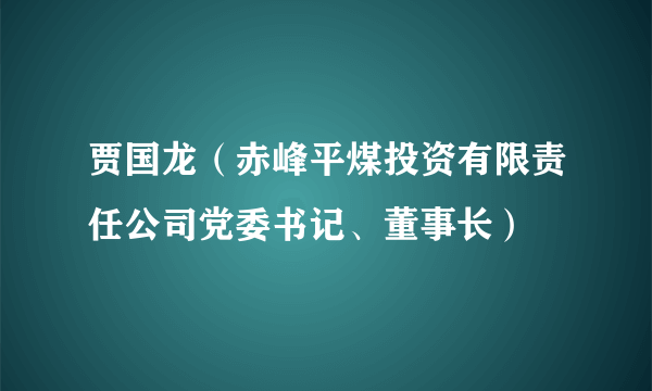 贾国龙（赤峰平煤投资有限责任公司党委书记、董事长）