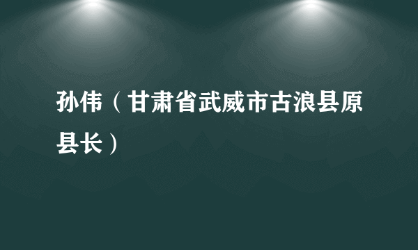 孙伟（甘肃省武威市古浪县原县长）