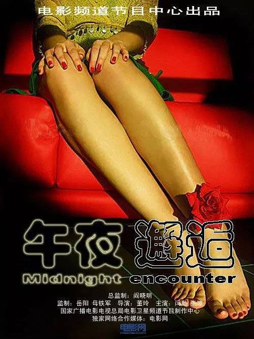 午夜邂逅（1990年董玲执导的剧情电影）