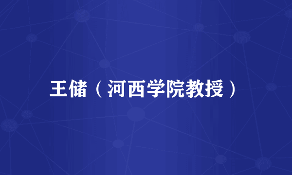 王储（河西学院教授）