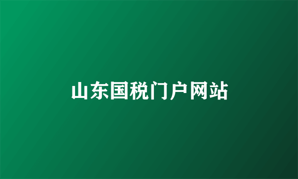 山东国税门户网站