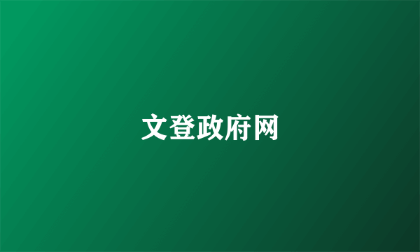 文登政府网