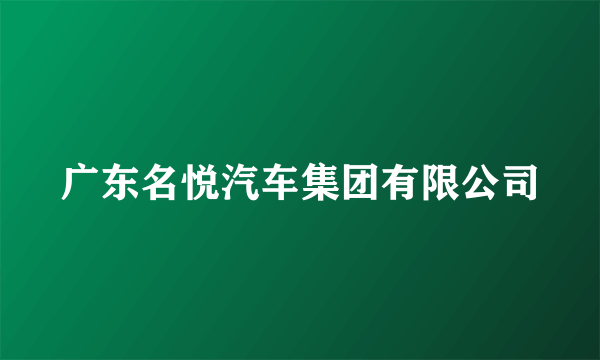 广东名悦汽车集团有限公司