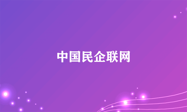 中国民企联网