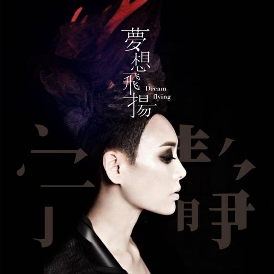 梦想飞扬（2020年宁静演唱的歌曲）