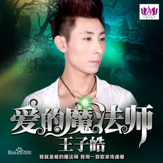 爱的魔法师（王子皓演唱歌曲）