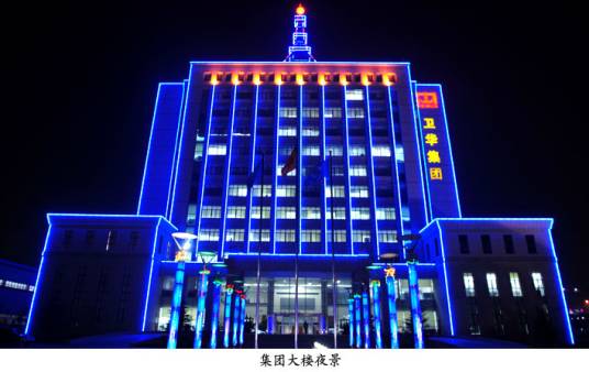 河南卫华重型机械股份有限公司