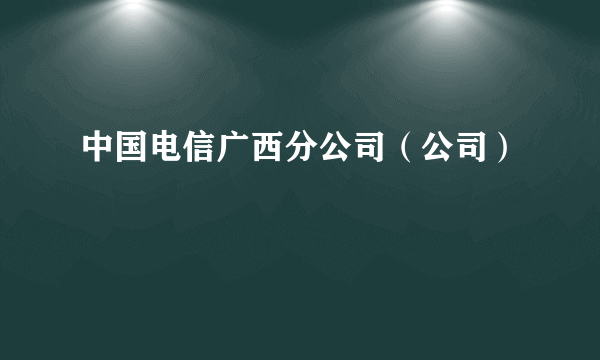 中国电信广西分公司（公司）