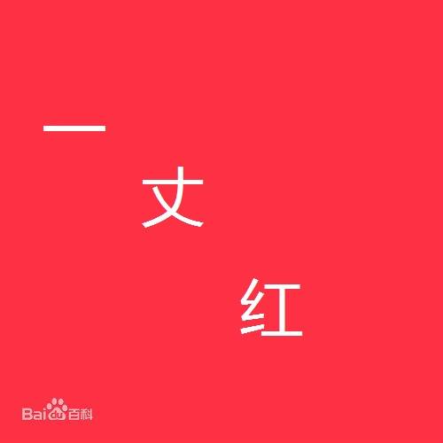 一丈红（宗教学名词代表反噬）