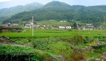 东风村（广东省河源市龙川县麻布岗镇行政村）
