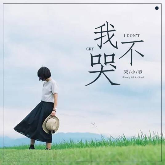 我不哭（2021年宋小睿演唱的歌曲）