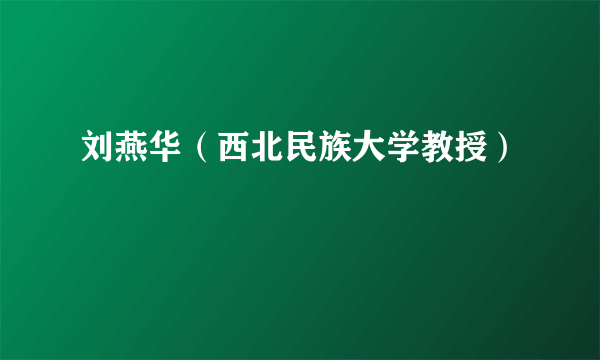 刘燕华（西北民族大学教授）