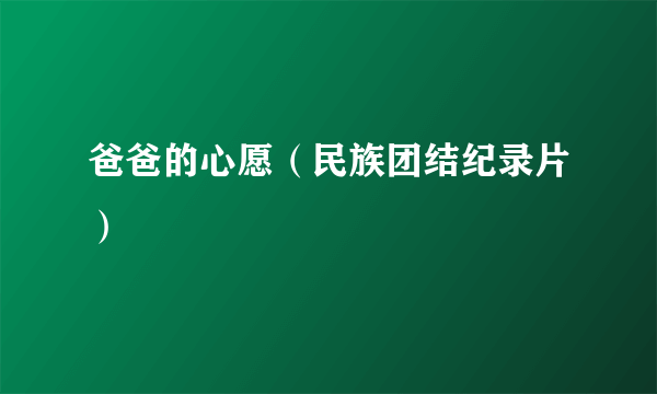 爸爸的心愿（民族团结纪录片）