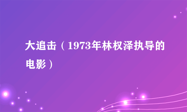 大追击（1973年林权泽执导的电影）
