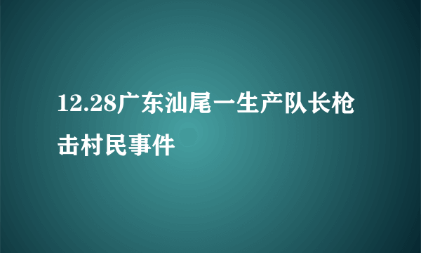 12.28广东汕尾一生产队长枪击村民事件