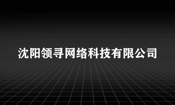 沈阳领寻网络科技有限公司