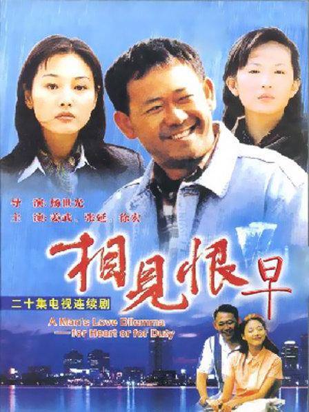 相见恨早（2002年杨世光执导的电视剧）