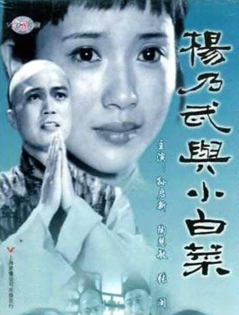 杨乃武与小白菜（1990年李莉执导的古装剧）