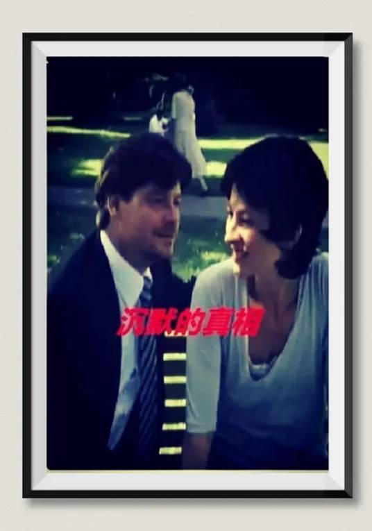 沉默的真相（Jörg Grünler执导剧情片）
