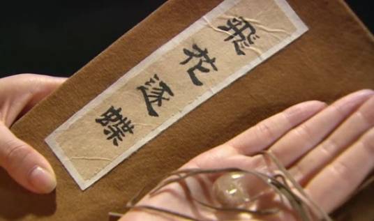飞花逐蝶