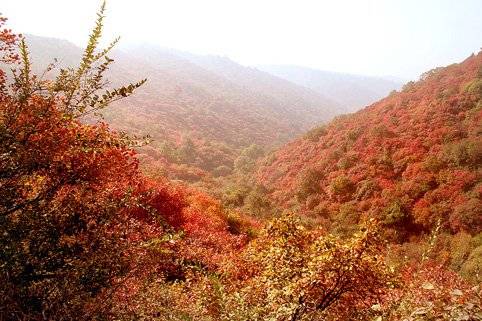 红叶岭风景区