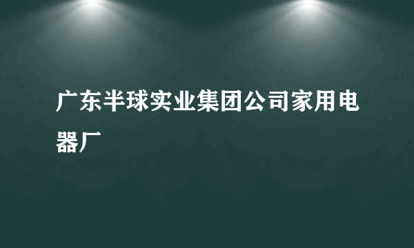 广东半球实业集团公司家用电器厂