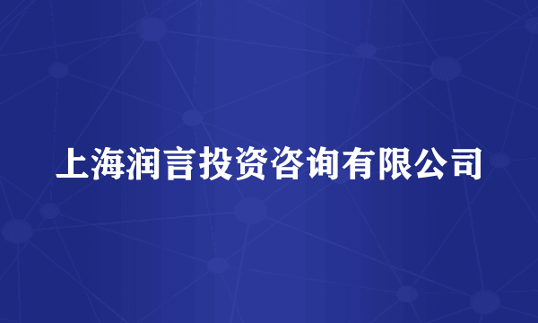上海润言投资咨询有限公司