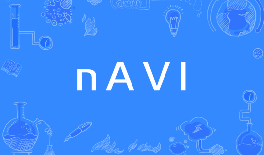 nAVI（车辆导航）