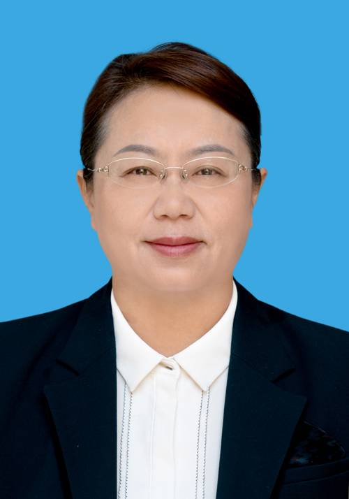 宋莉（四川省凉山彝族自治州西昌市委副书记、市长）
