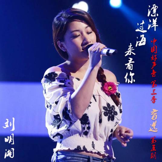 漂洋过海来看你（2014年刘明湘翻唱歌曲）
