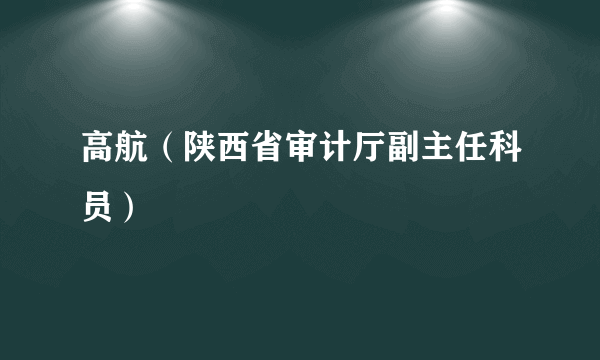 高航（陕西省审计厅副主任科员）