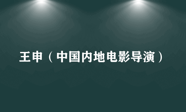 王申（中国内地电影导演）