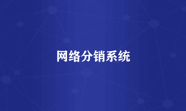 网络分销系统
