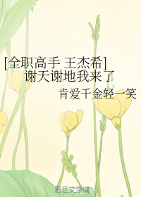 [全职高手王杰希]谢天谢地我来了