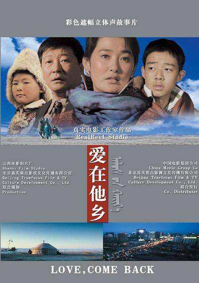 爱在他乡（2007年由陈军导演的剧情电影）