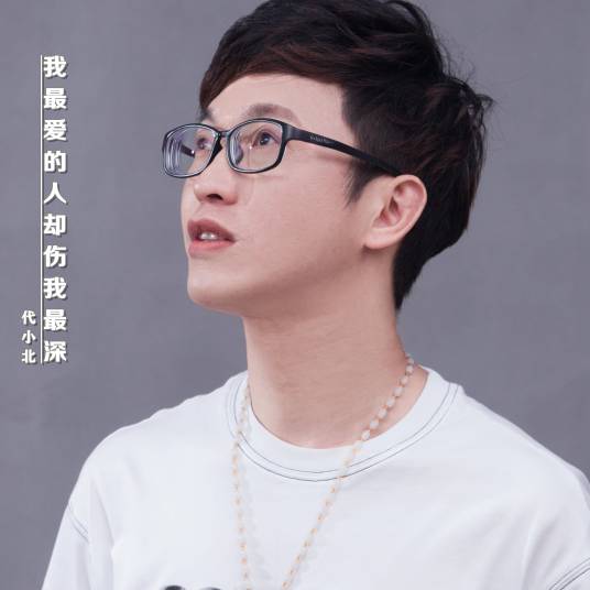 我最爱的人却伤我最深（代小北演唱歌曲）