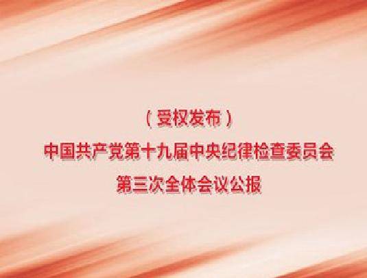 中国共产党第十九届中央纪律检查委员会第三次全体会议