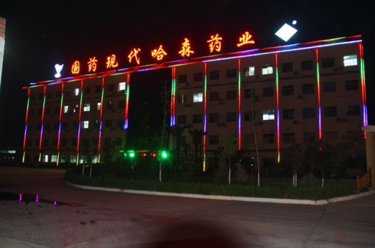 上海现代哈森（商丘）药业有限公司