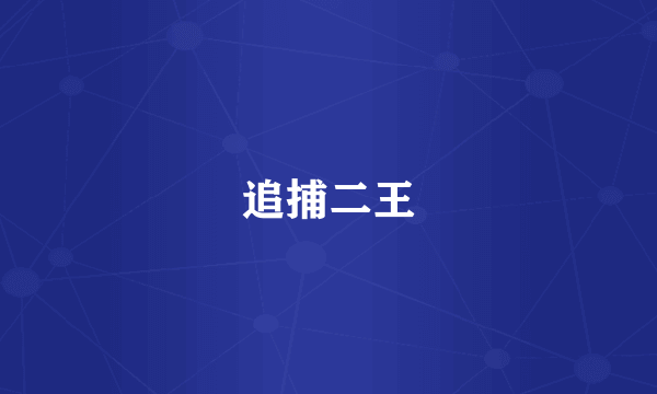 追捕二王
