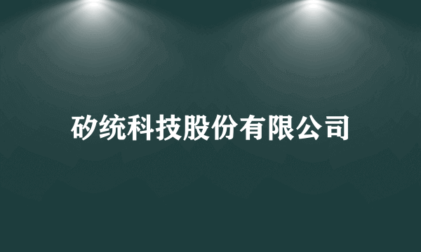 矽统科技股份有限公司