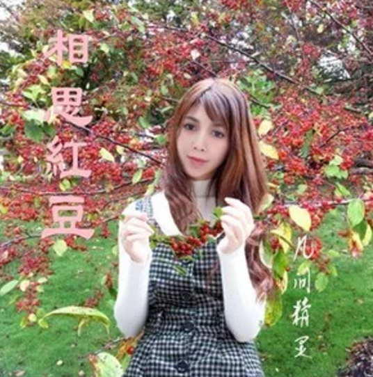 相思红豆（凡间精灵演唱的歌曲）