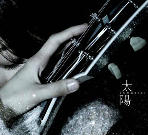 太阳（2009年陈绮贞音乐专辑）