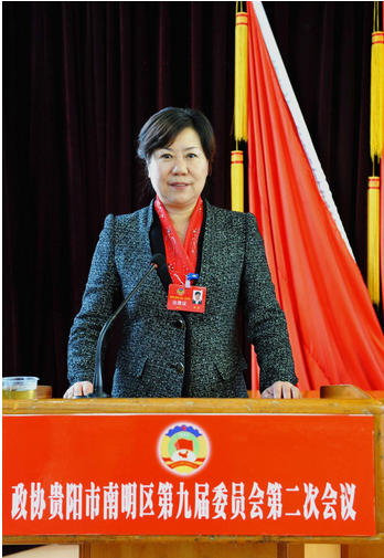高蓉（南明区政协主席）